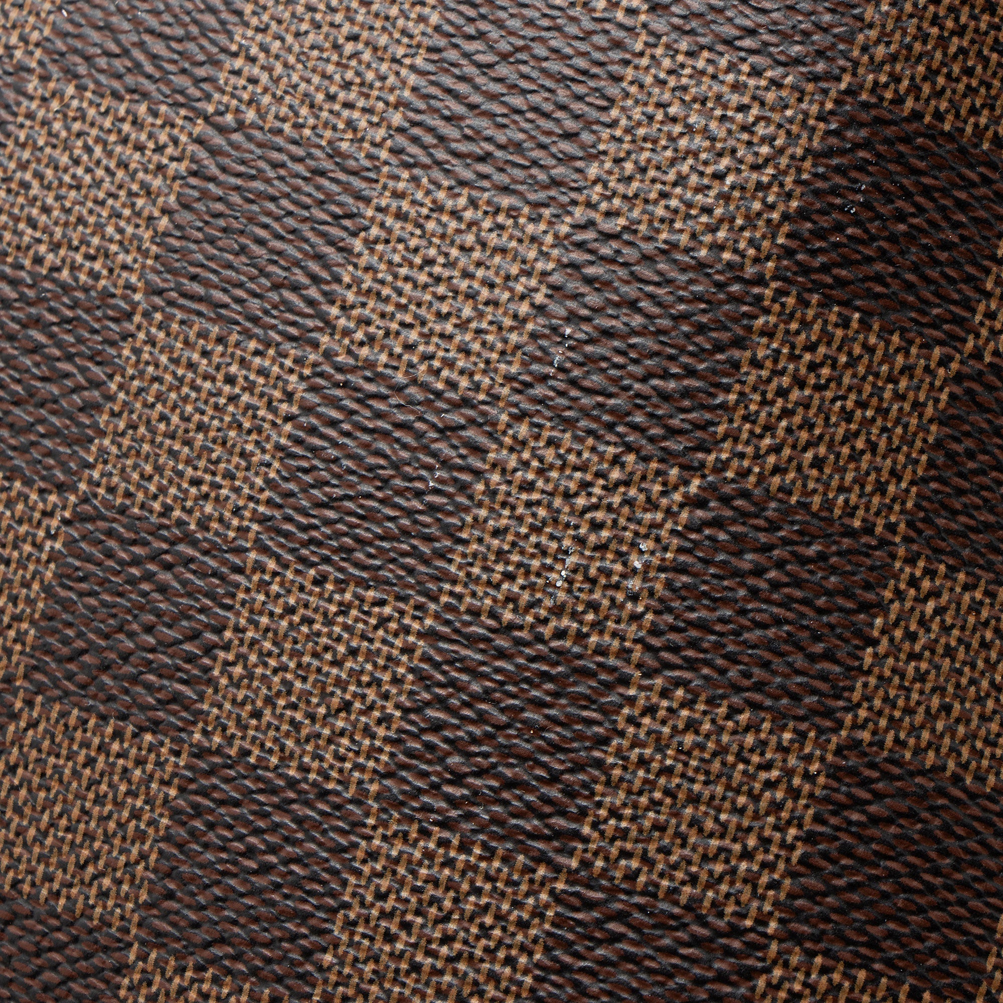 Louis Vuitton Damier Ebene Riverside Tote