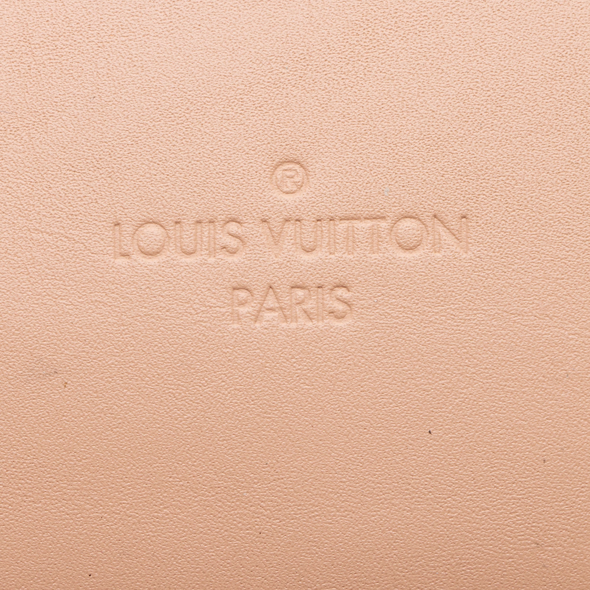 Louis Vuitton Damier Ebene Santa Monica Shoulder Bag