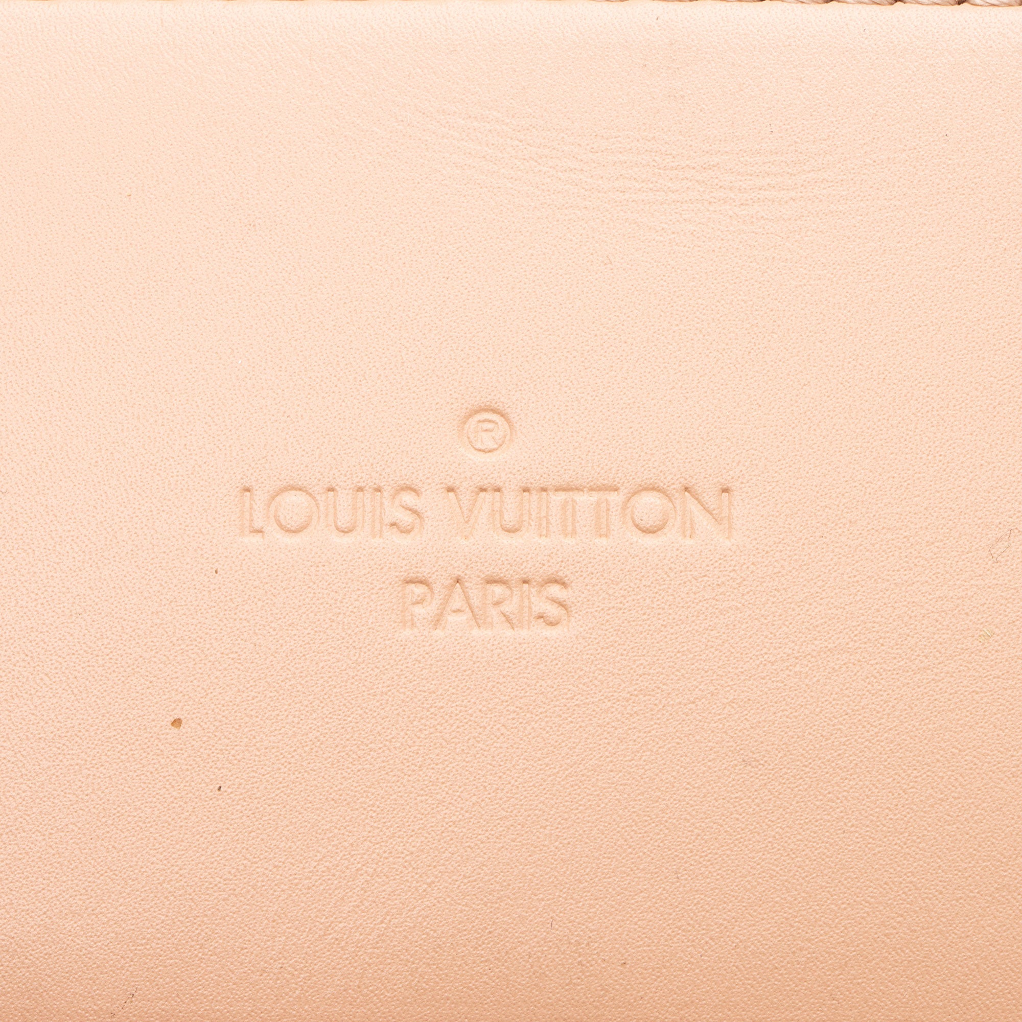Louis Vuitton Damier Ebene Santa Monica Shoulder Bag