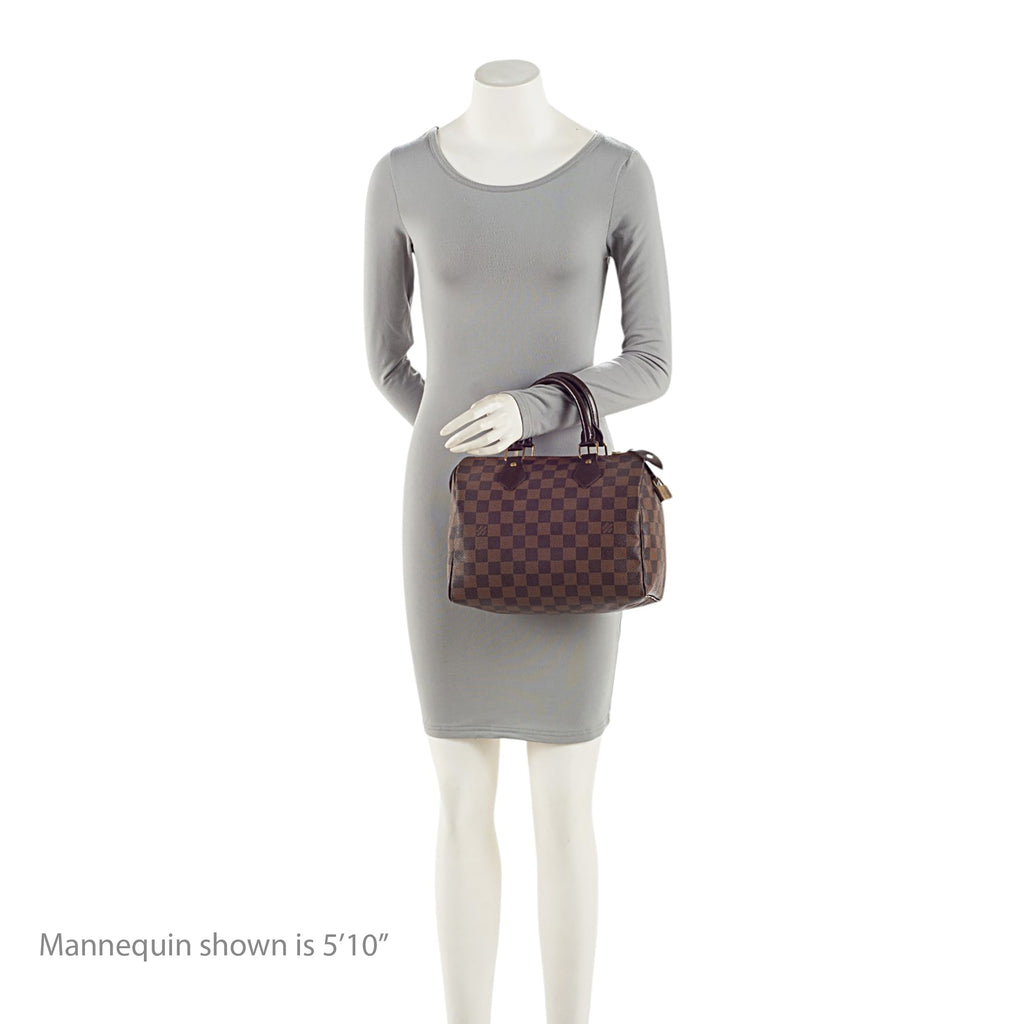 Louis Vuitton Damier Ebene Speedy 25 Satchel
