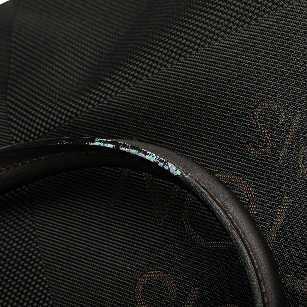 Louis Vuitton Damier Geant Cougar