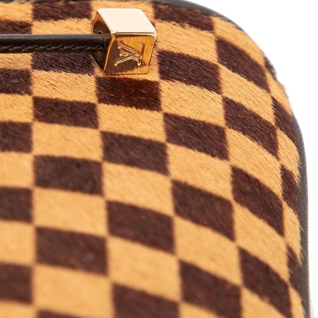 Louis Vuitton Damier Sauvage Impala