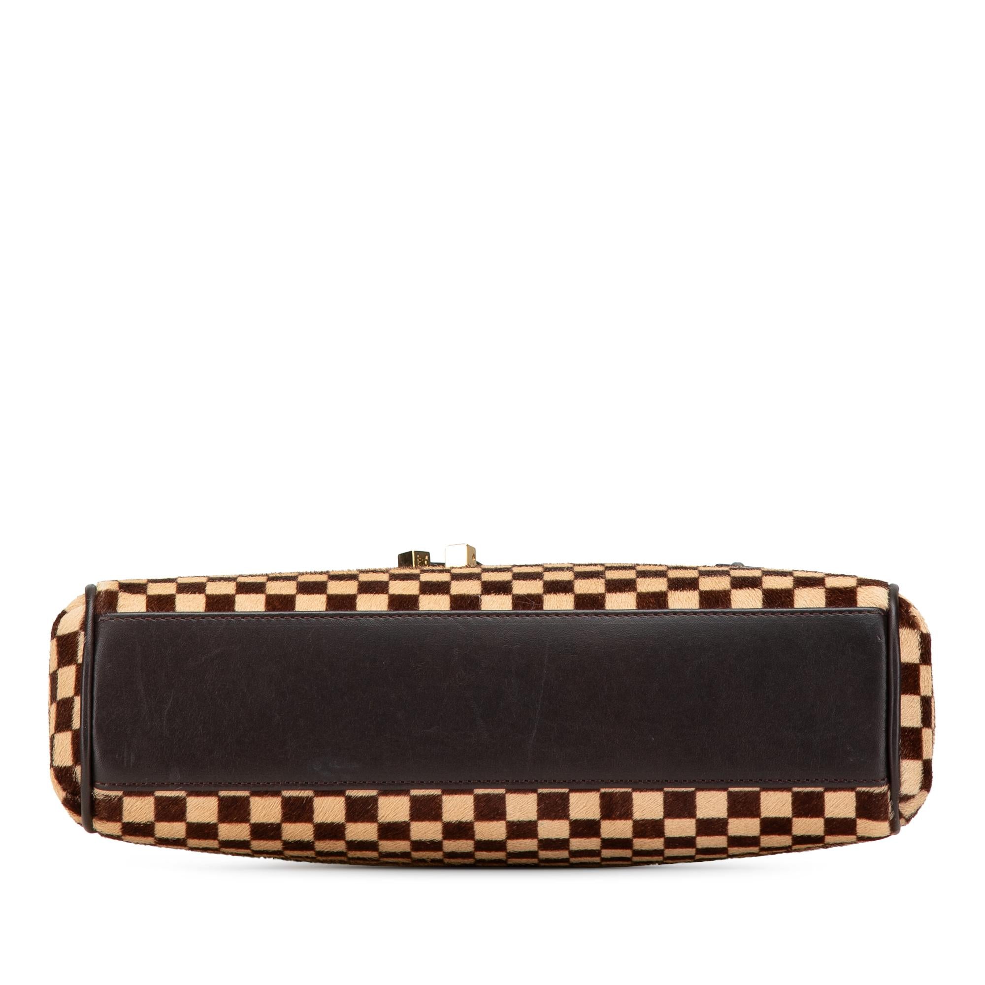 Louis Vuitton Damier Sauvage Lionne