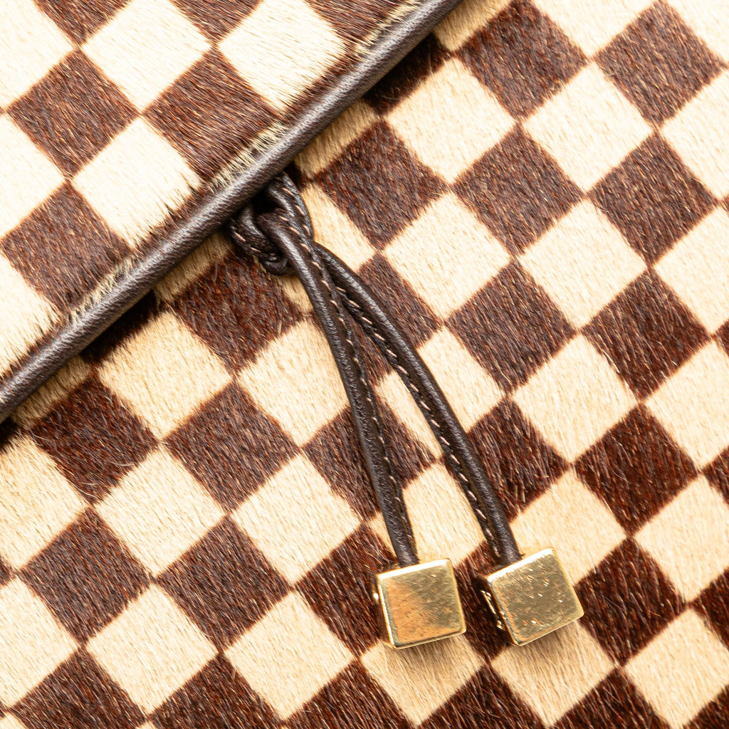 Louis Vuitton Damier Sauvage Lionne