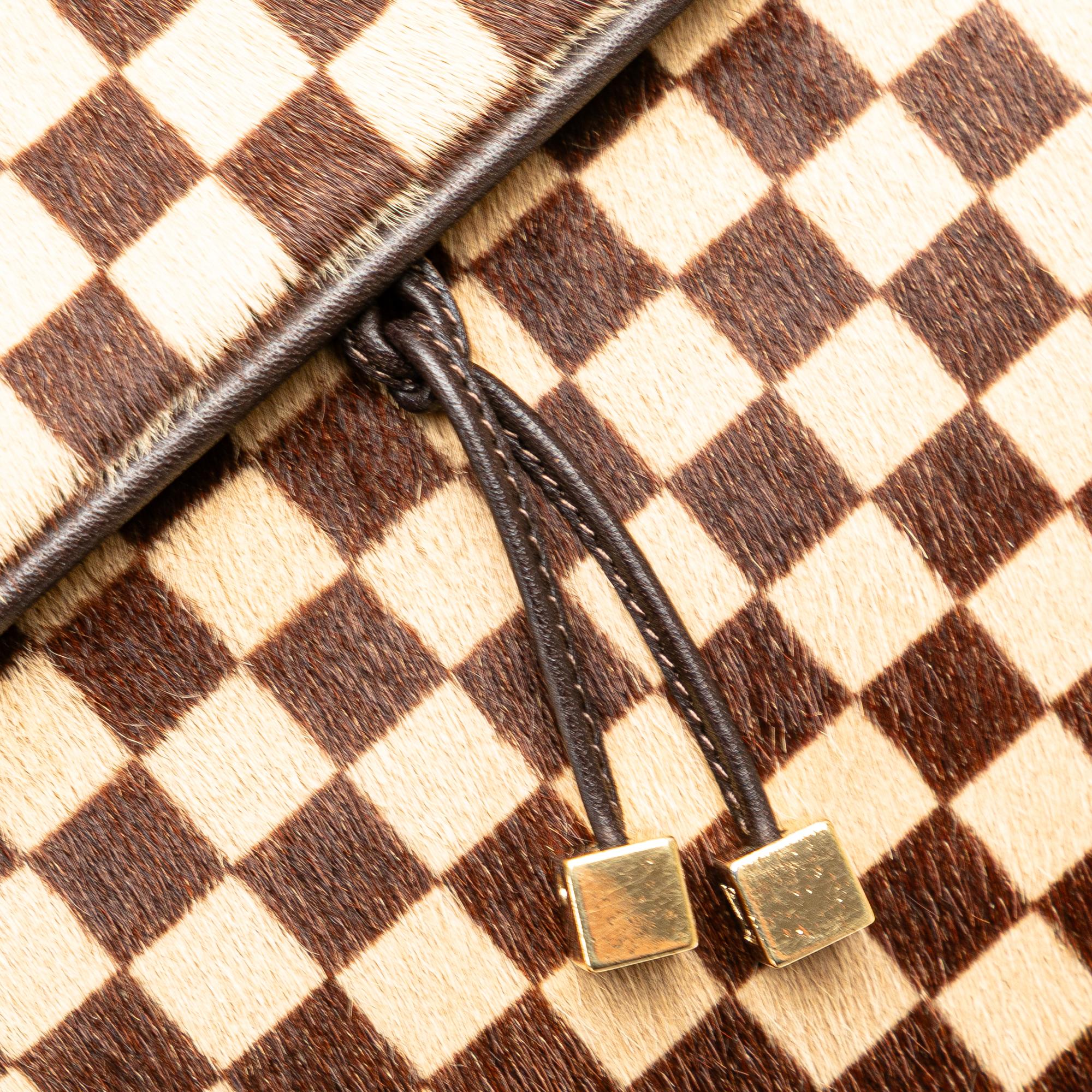 Louis Vuitton Damier Sauvage Lionne