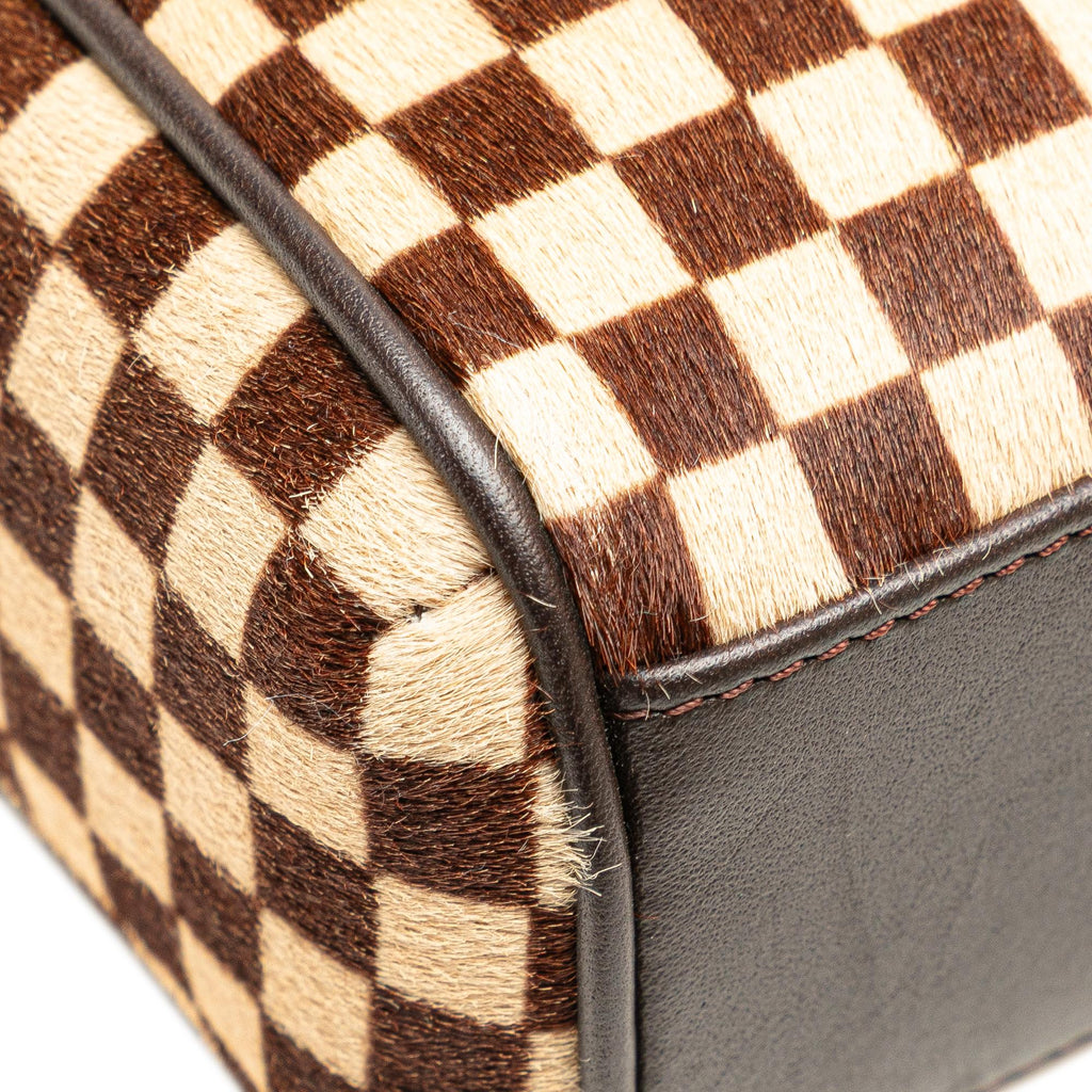 Louis Vuitton Damier Sauvage Lionne