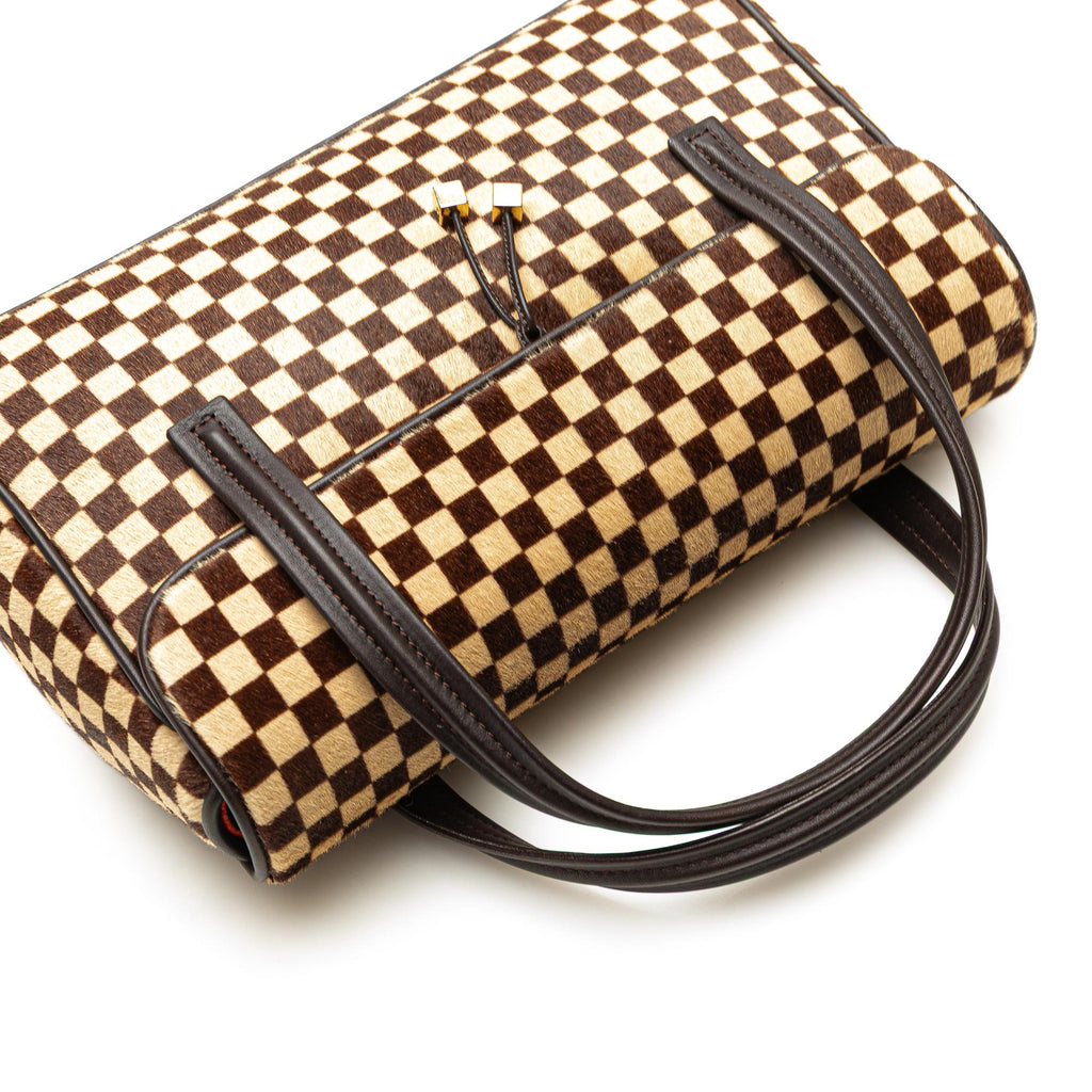 Louis Vuitton Damier Sauvage Lionne