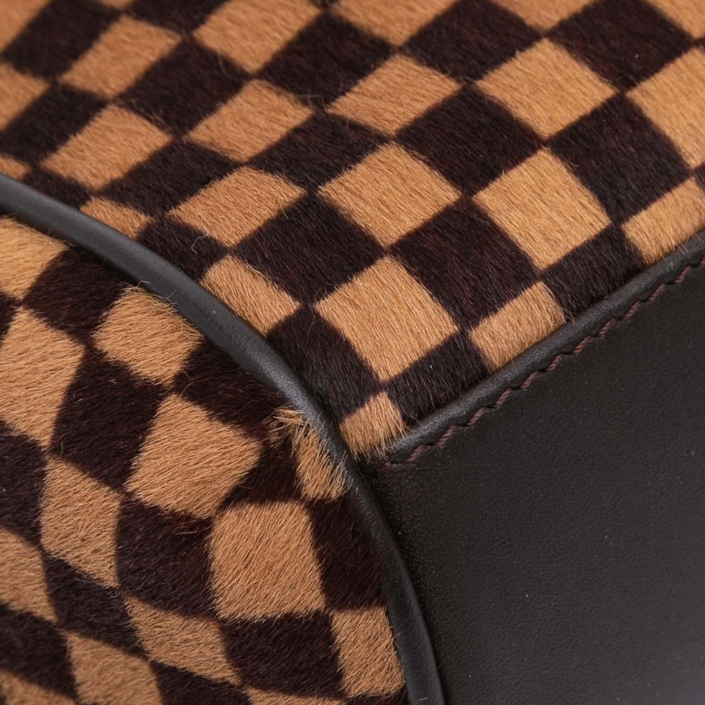 Louis Vuitton Damier Sauvage Lionne