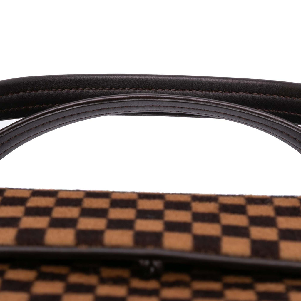 Louis Vuitton Damier Sauvage Lionne
