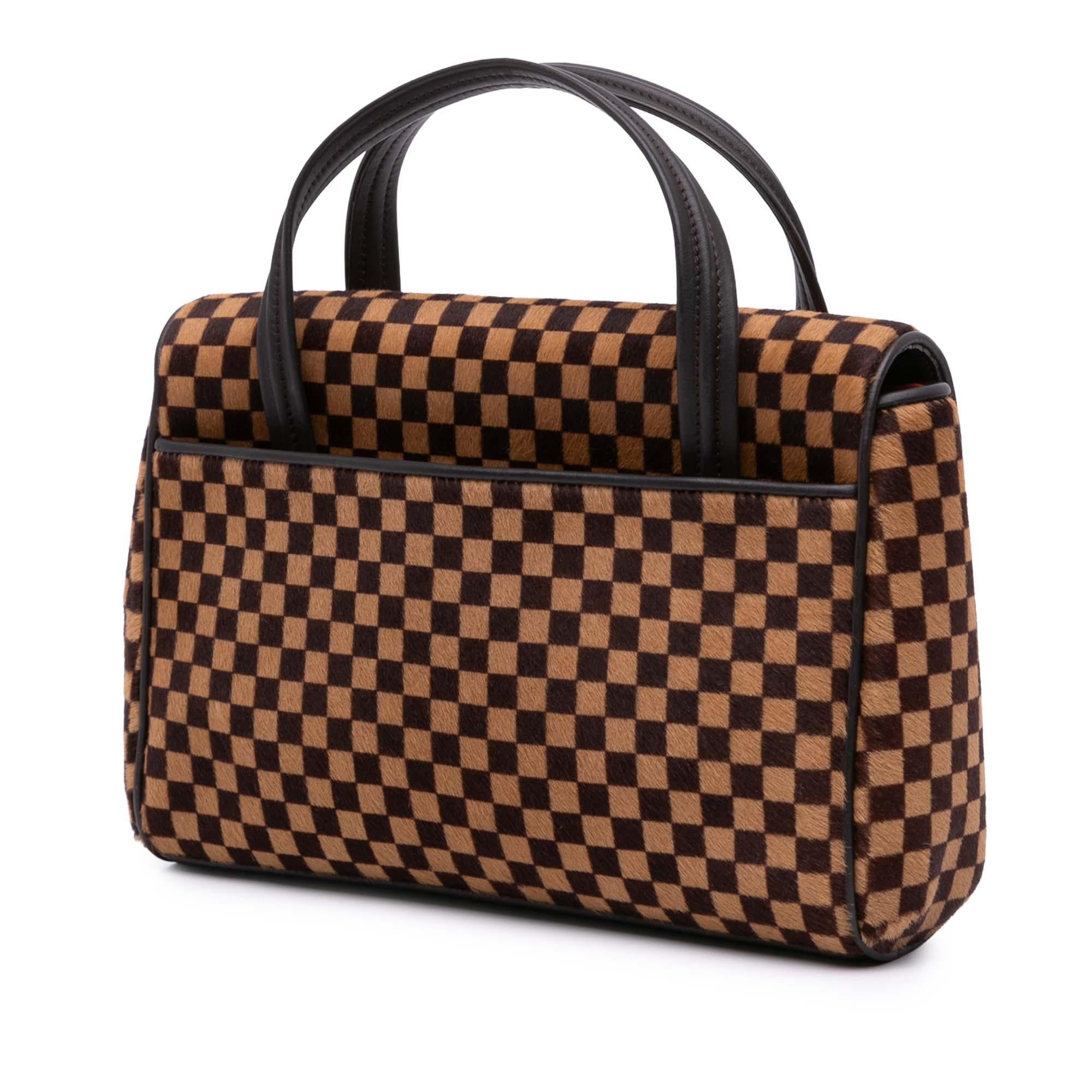 Louis Vuitton Damier Sauvage Lionne