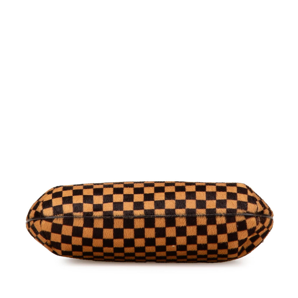 Louis Vuitton Damier Sauvage Tigre