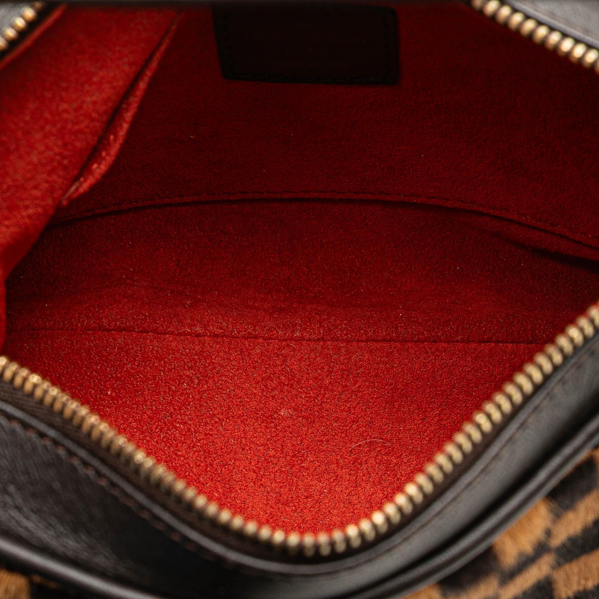 Louis Vuitton Damier Sauvage Tigre