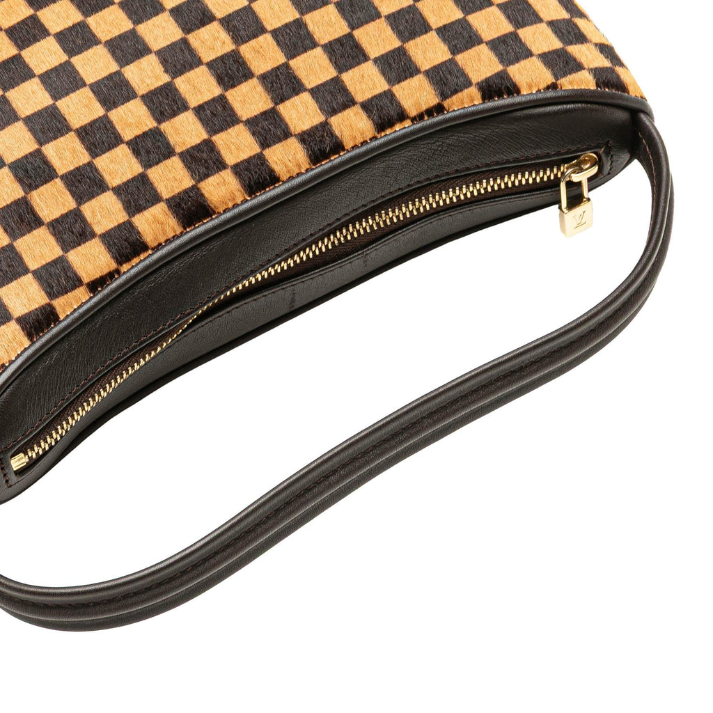 Louis Vuitton Damier Sauvage Tigre