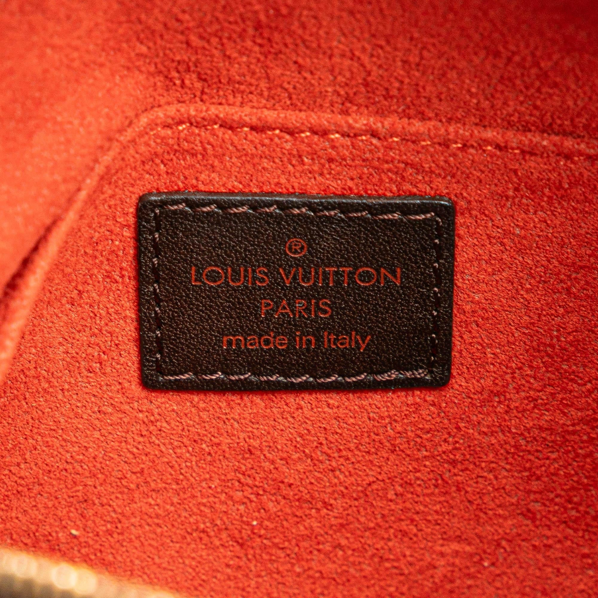 Louis Vuitton Damier Sauvage Tigre
