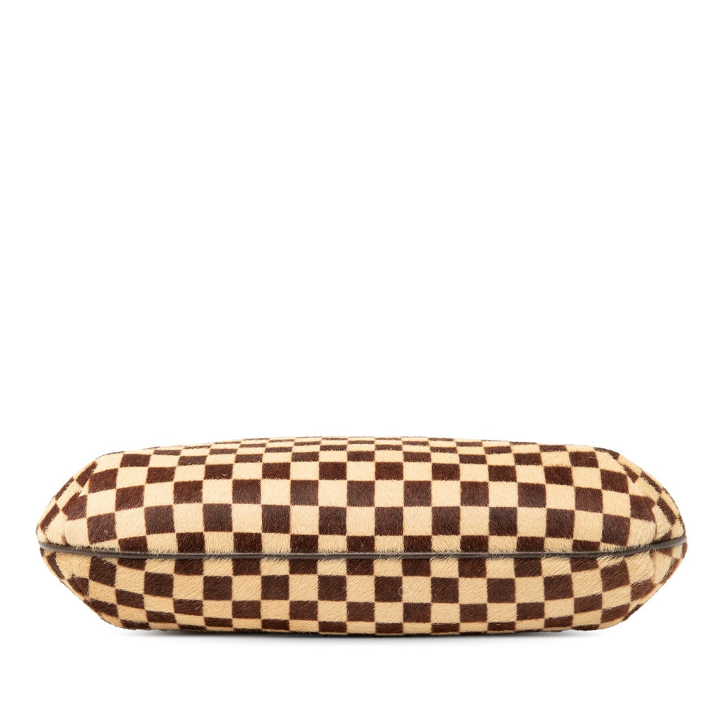 Louis Vuitton Damier Sauvage Tigre