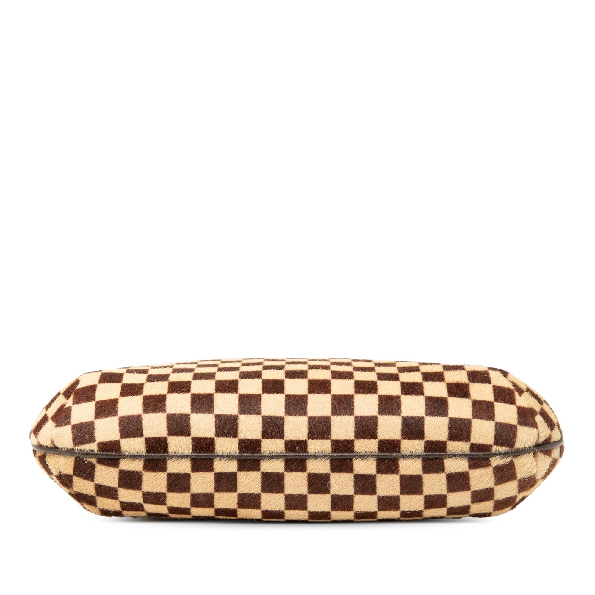Louis Vuitton Damier Sauvage Tigre