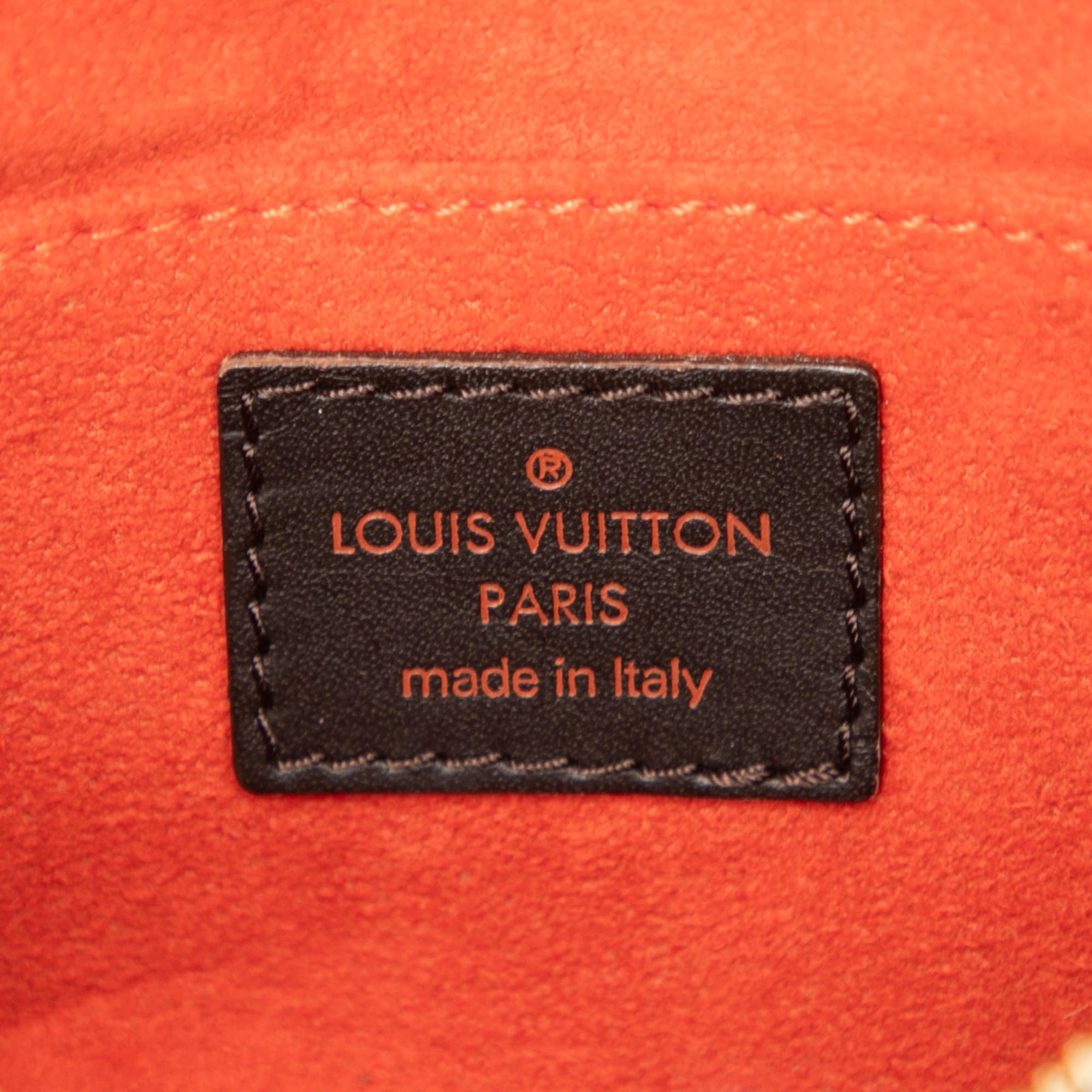 Louis Vuitton Damier Sauvage Tigre