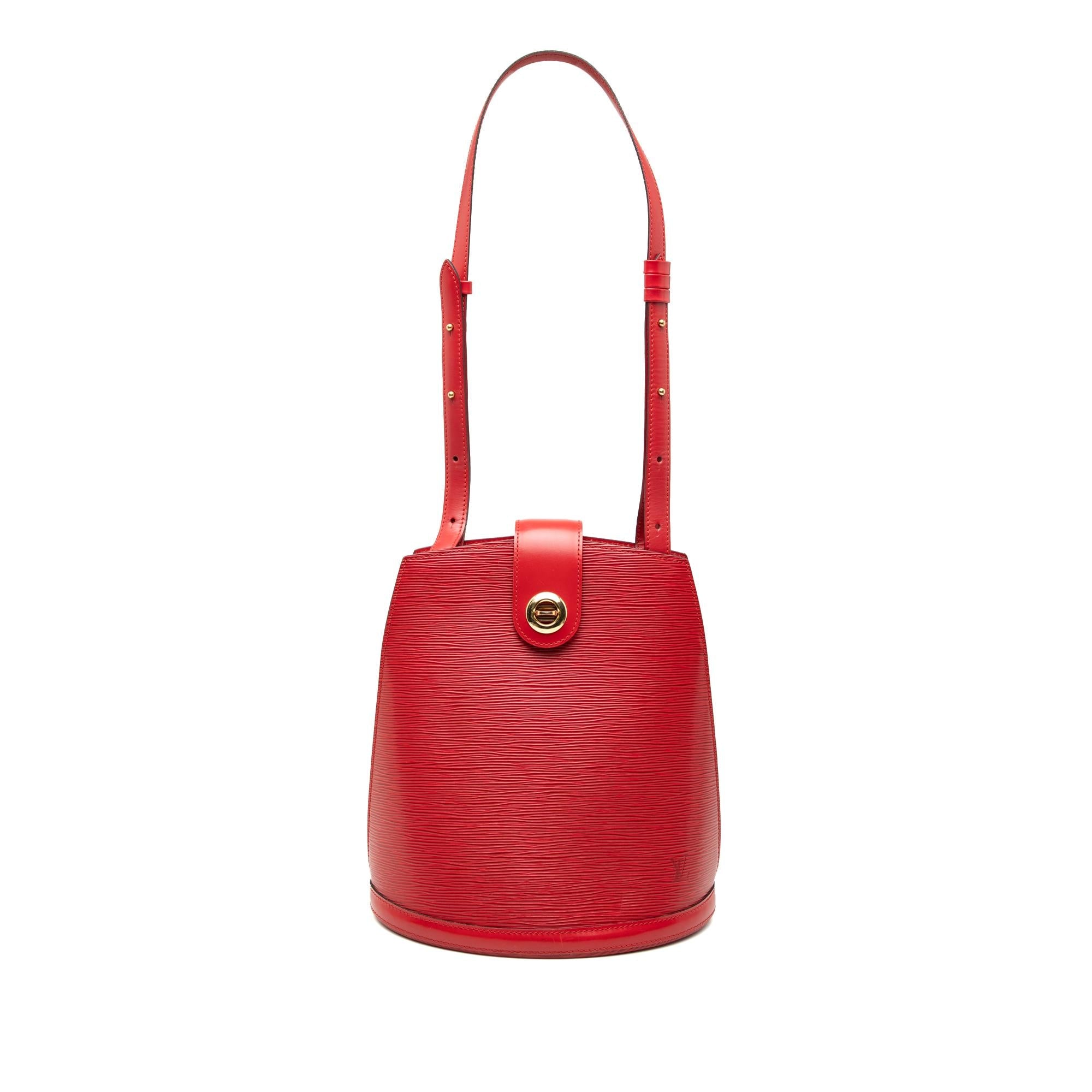 Louis Vuitton Epi Cluny