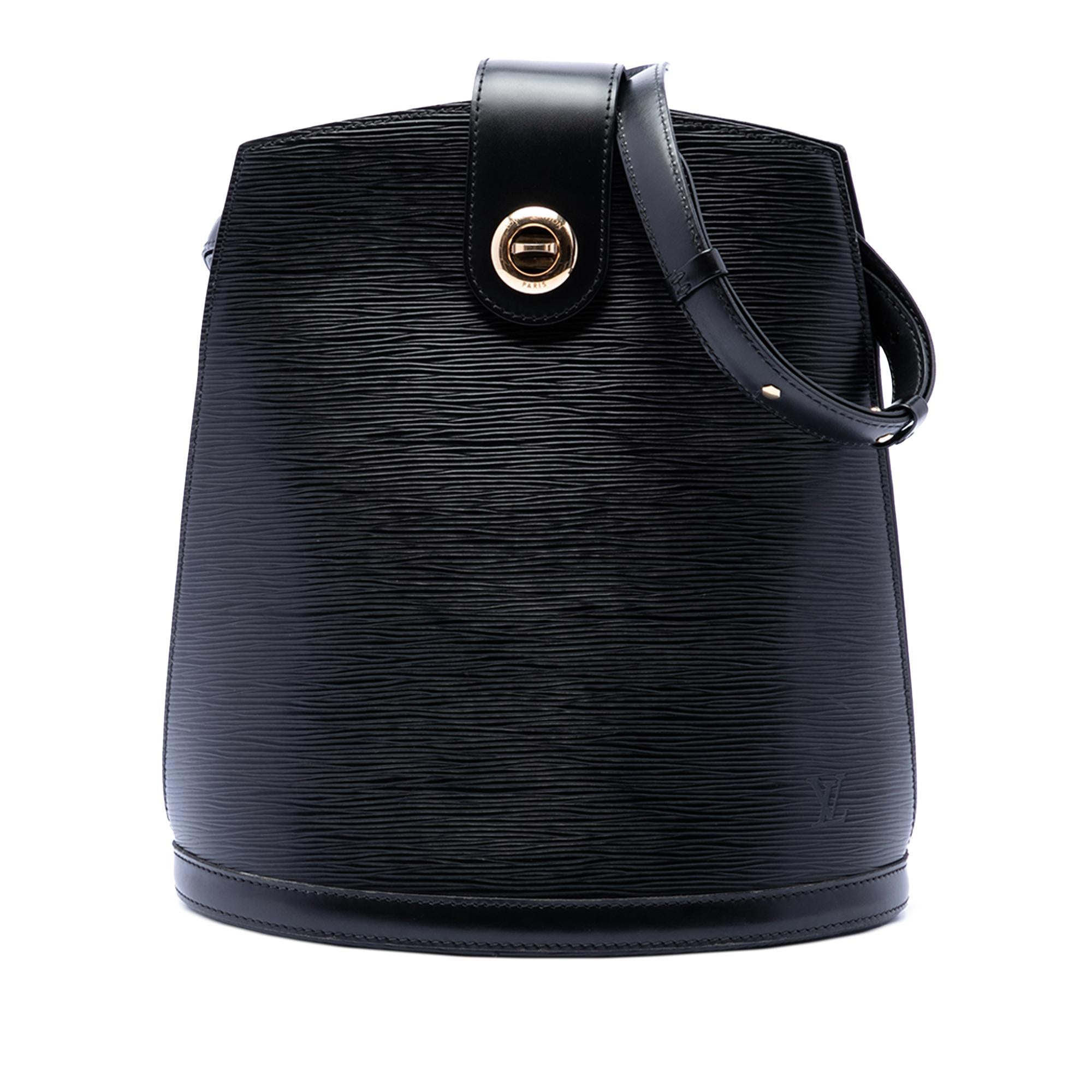 Louis Vuitton Epi Cluny