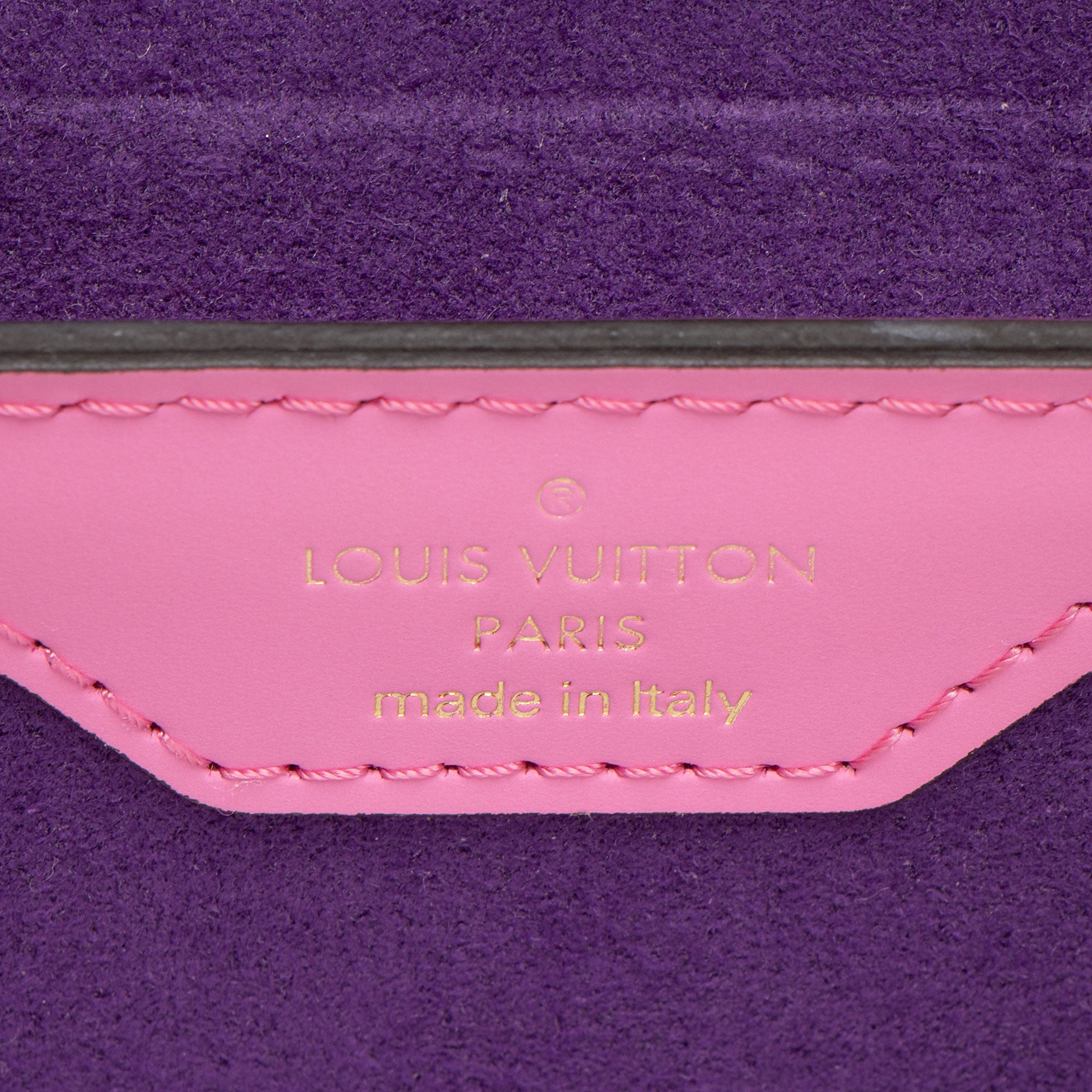 Louis Vuitton Epi Leather Papillon Trunk Bag