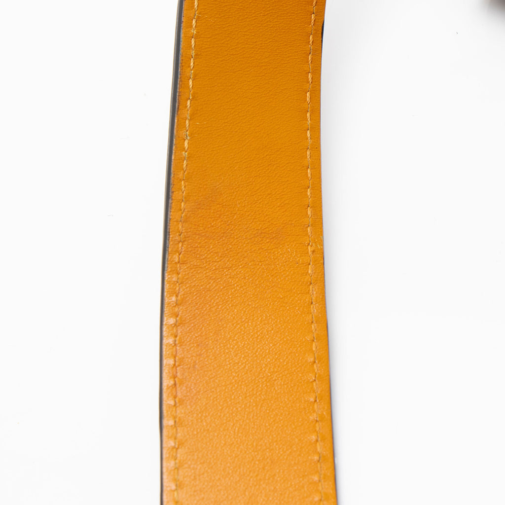 Louis Vuitton Epi Leather Tuileries Satchel