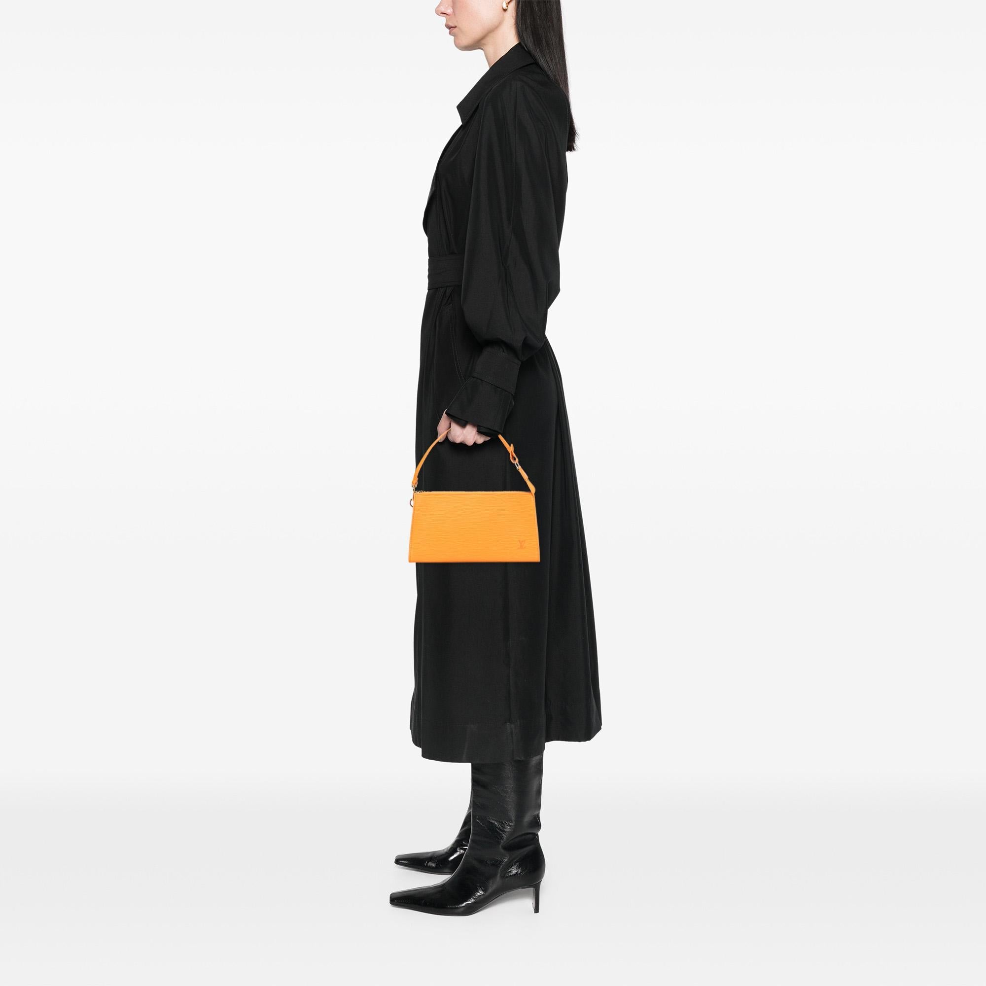 Louis Vuitton Epi Pochette Accessoires