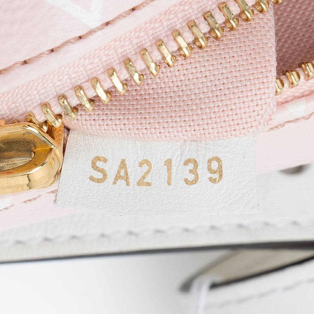 Louis Vuitton Giant Monogram Canvas Bumbag