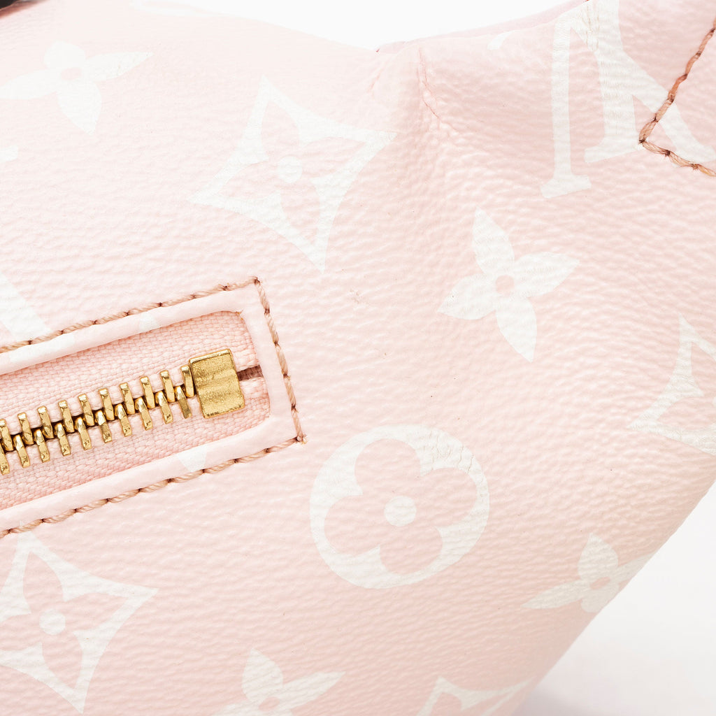 Louis Vuitton Giant Monogram Canvas Bumbag