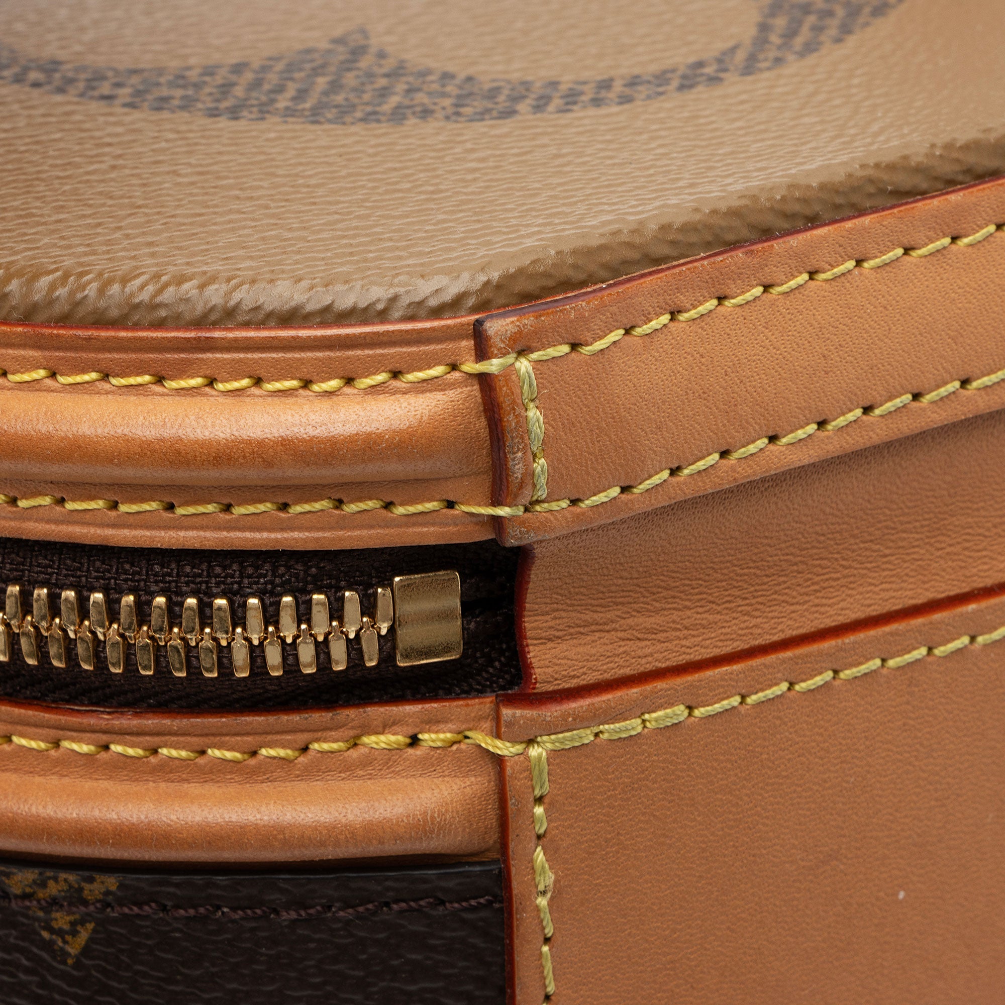 Louis Vuitton Giant Monogram Canvas Cannes Shoulder Bag