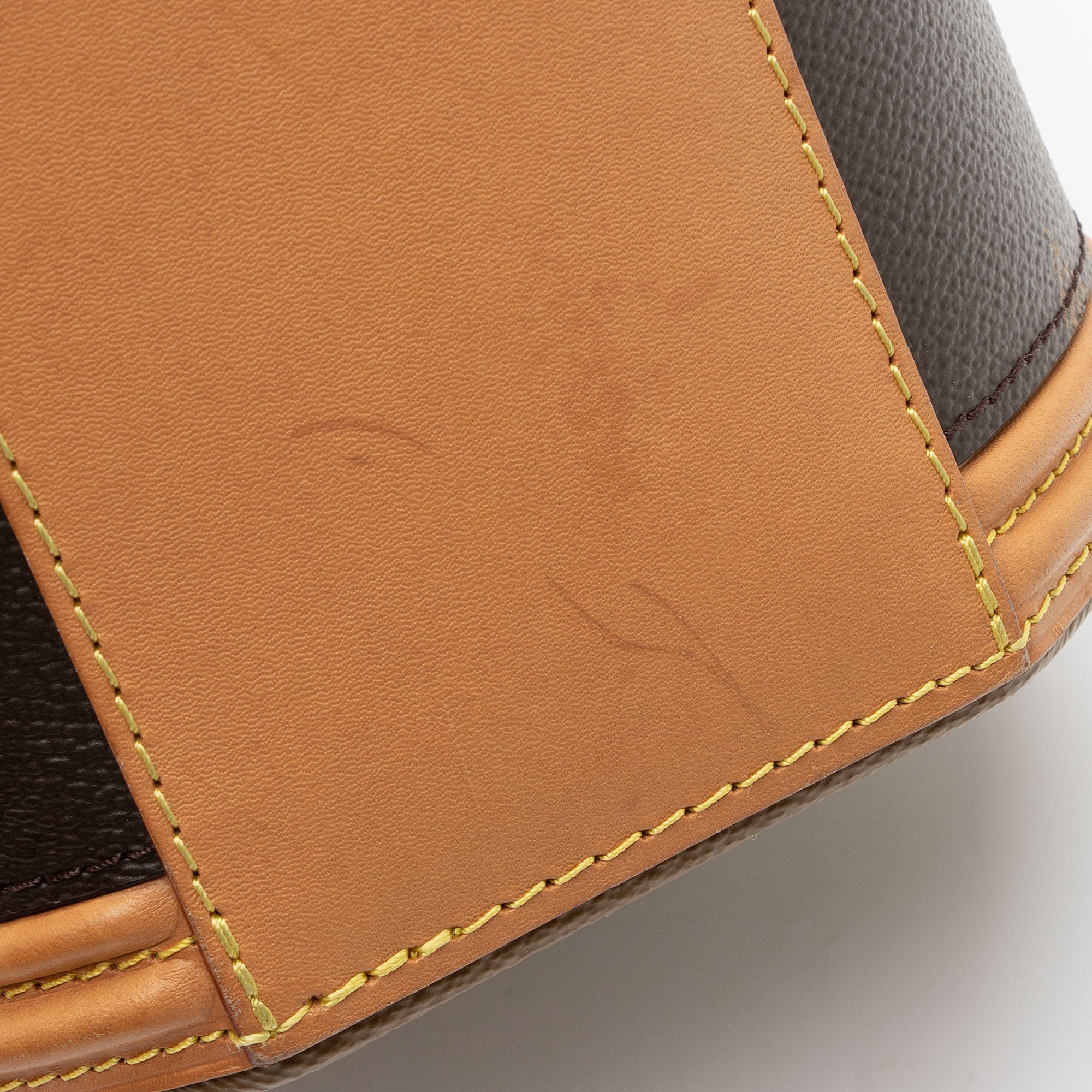 Louis Vuitton Giant Monogram Canvas Cannes Shoulder Bag