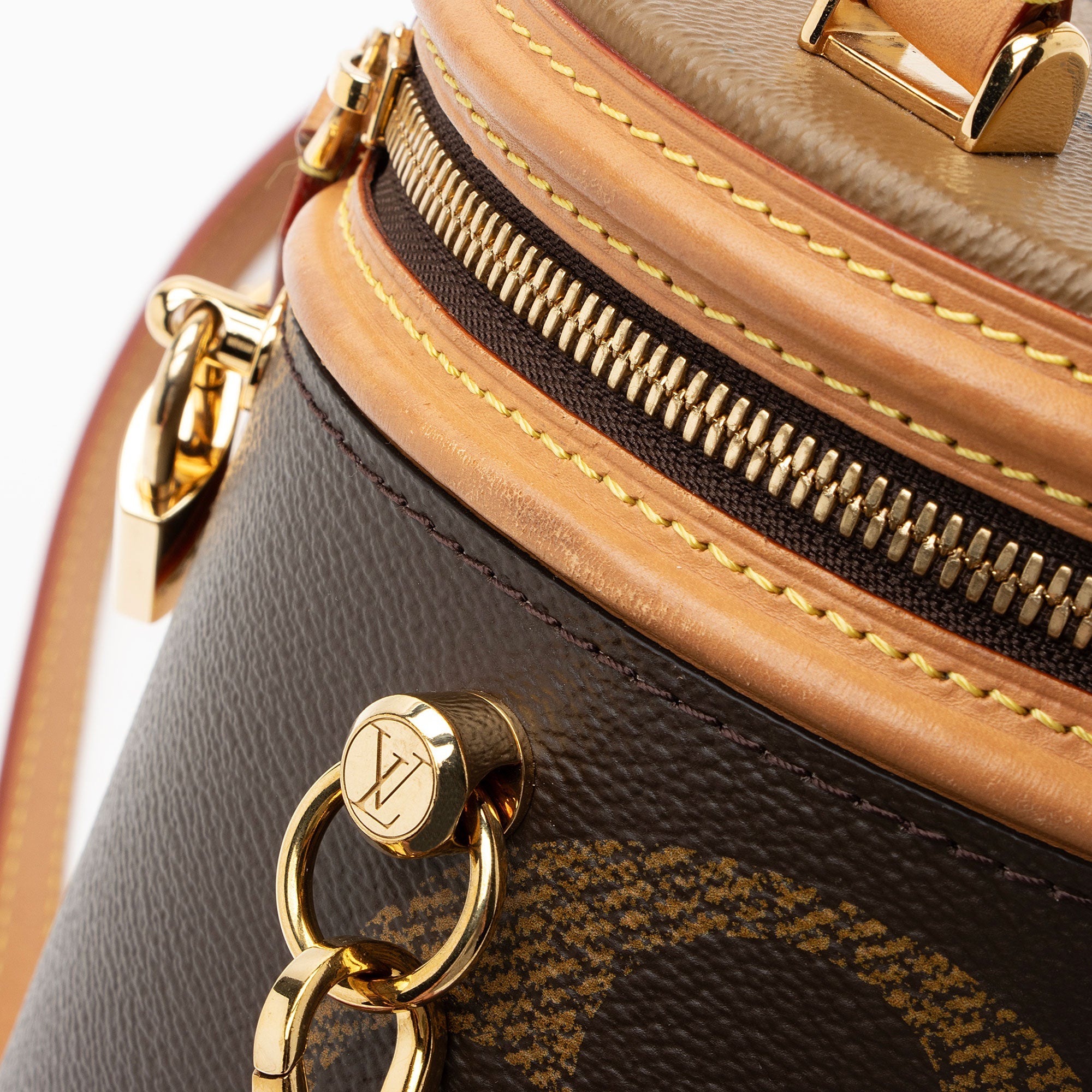 Louis Vuitton Giant Monogram Canvas Cannes Shoulder Bag