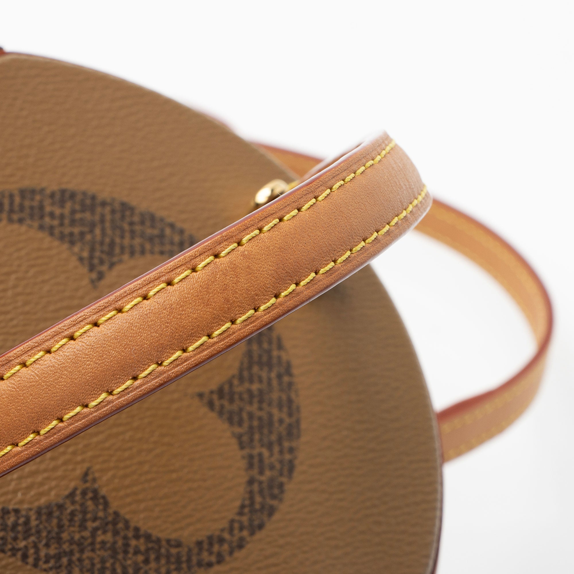 Louis Vuitton Giant Monogram Canvas Cannes Shoulder Bag
