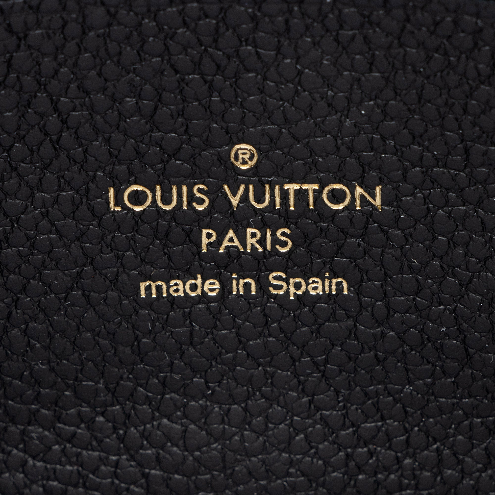 Louis Vuitton Giant Monogram Empreinte Bicolor Double Zip Pochette