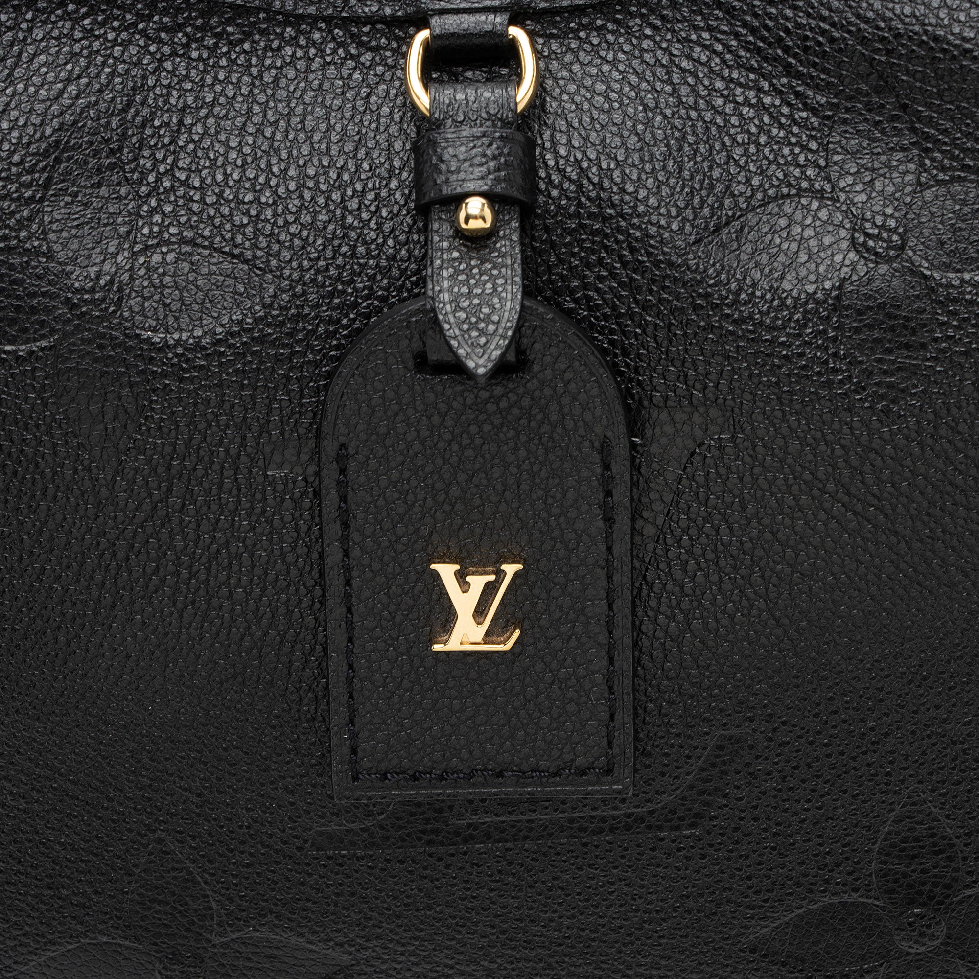 Louis Vuitton Giant Monogram Empreinte CarryAll PM Shoulder Bag