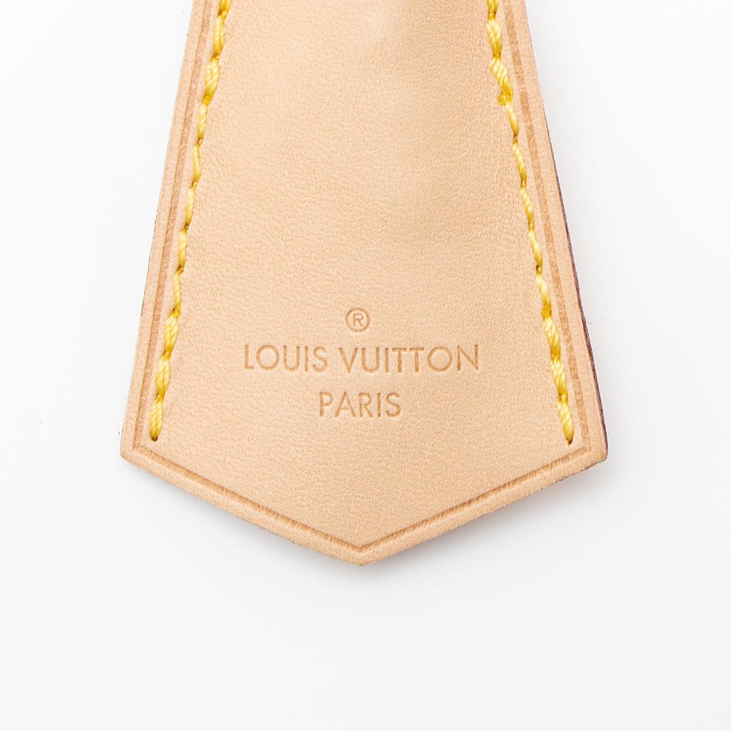 Louis Vuitton Leather Clochette