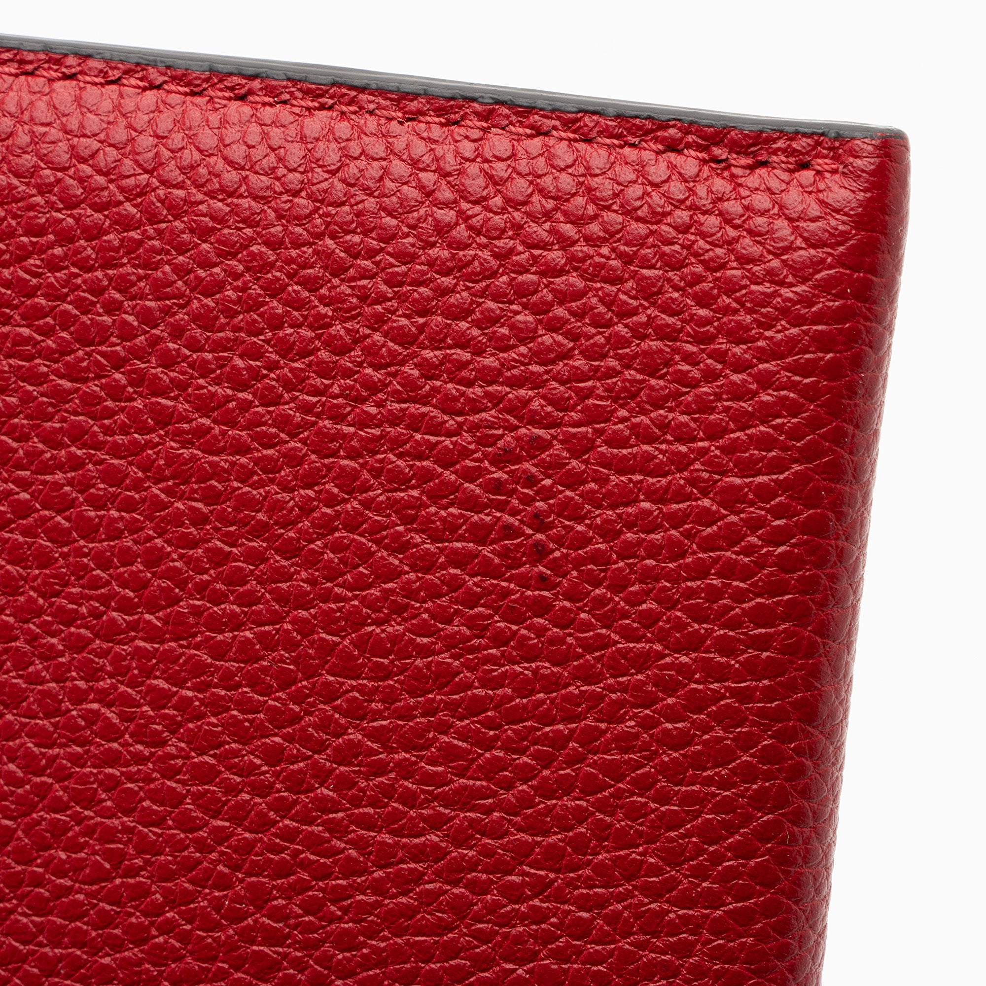 Louis Vuitton Calfskin Felicie Insert