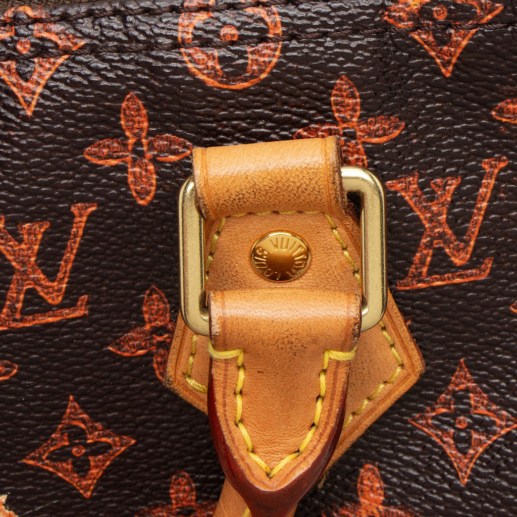 Louis Vuitton Limited Edition Catogram Canvas Speedy Bandouliere 30 Satchel