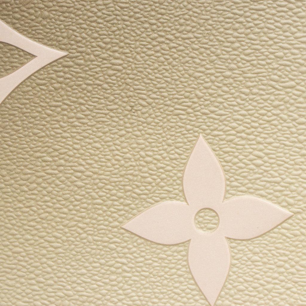Louis Vuitton Limited Edition Giant Monogram Empreinte Spring In The City Onthego MM Tote