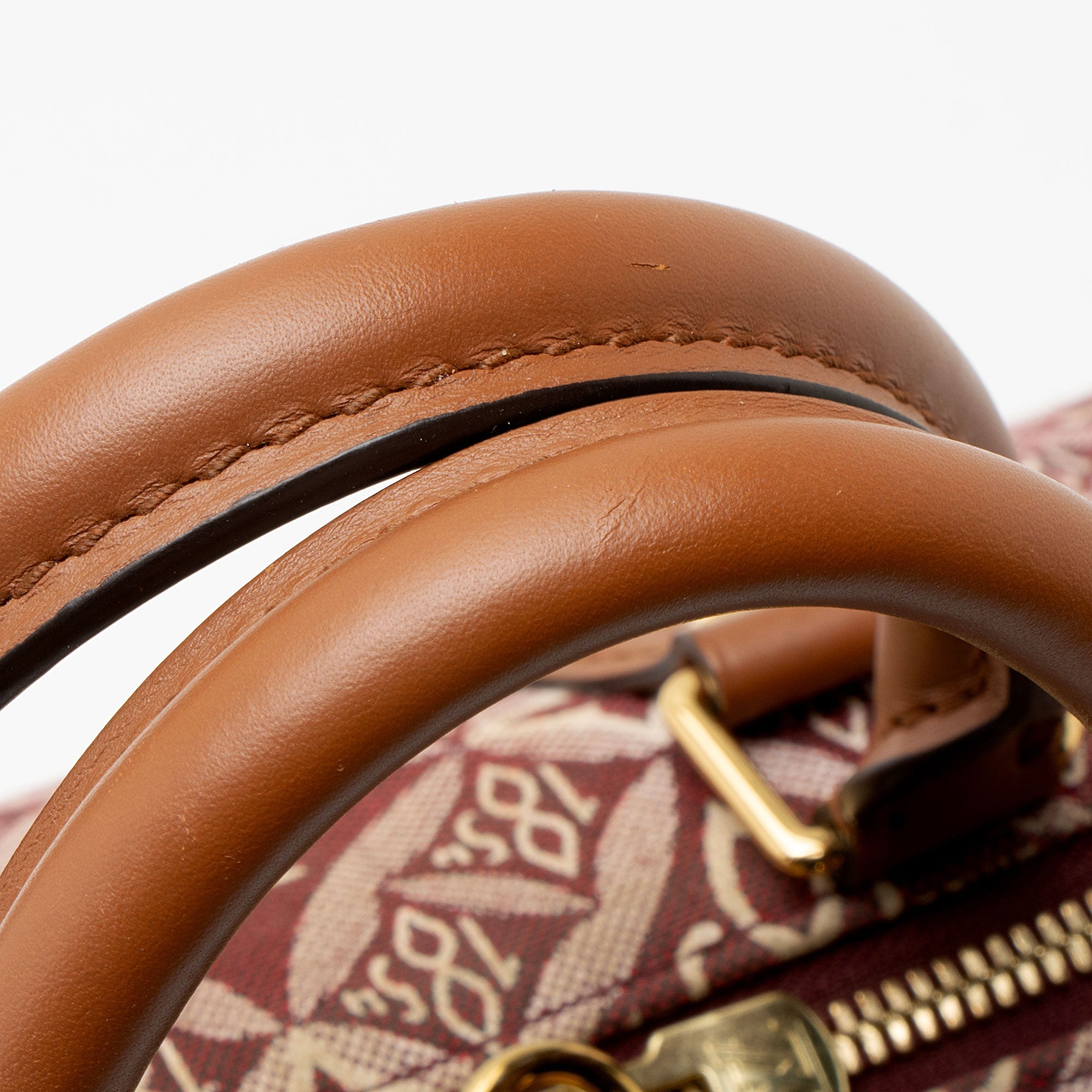 Louis Vuitton Limited Edition Jacquard Since 1854 Speedy Bandouliere 25 Satchel