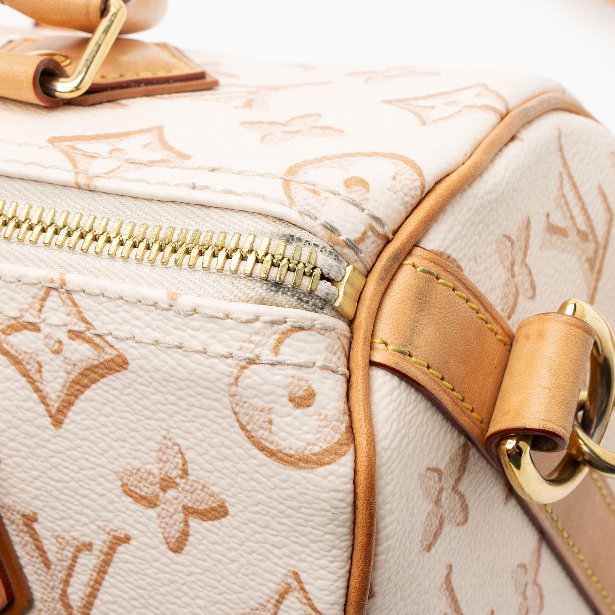 Louis Vuitton Limited Edition Monogram Canvas Fall For Speedy Bandouliere 25 Satchel