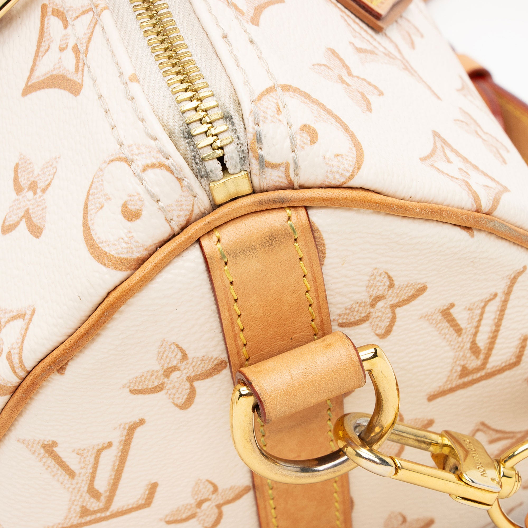 Louis Vuitton Limited Edition Monogram Canvas Fall For Speedy Bandouliere 25 Satchel