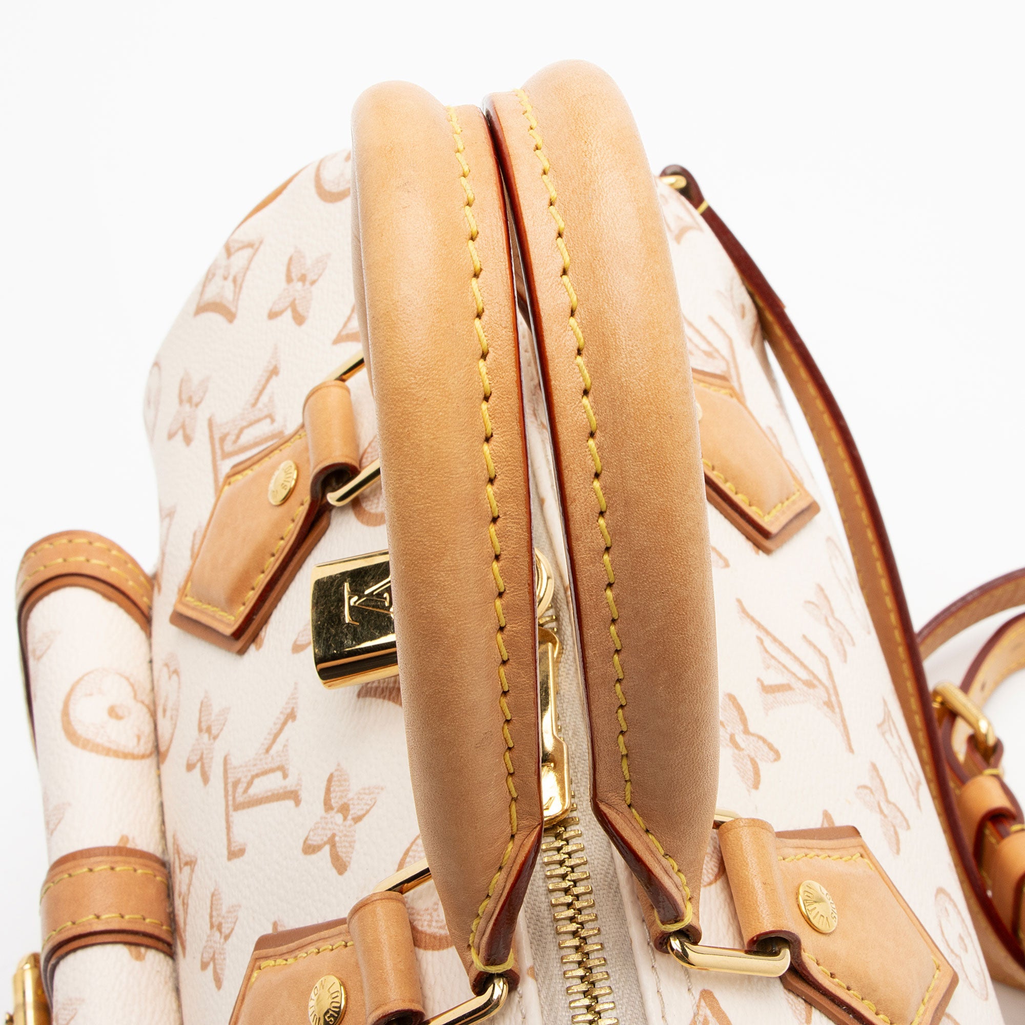 Louis Vuitton Limited Edition Monogram Canvas Fall For Speedy Bandouliere 25 Satchel