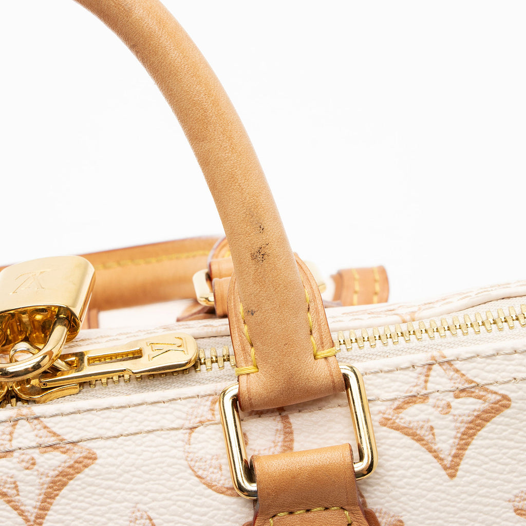 Louis Vuitton Limited Edition Monogram Canvas Fall For Speedy Bandouliere 25 Satchel