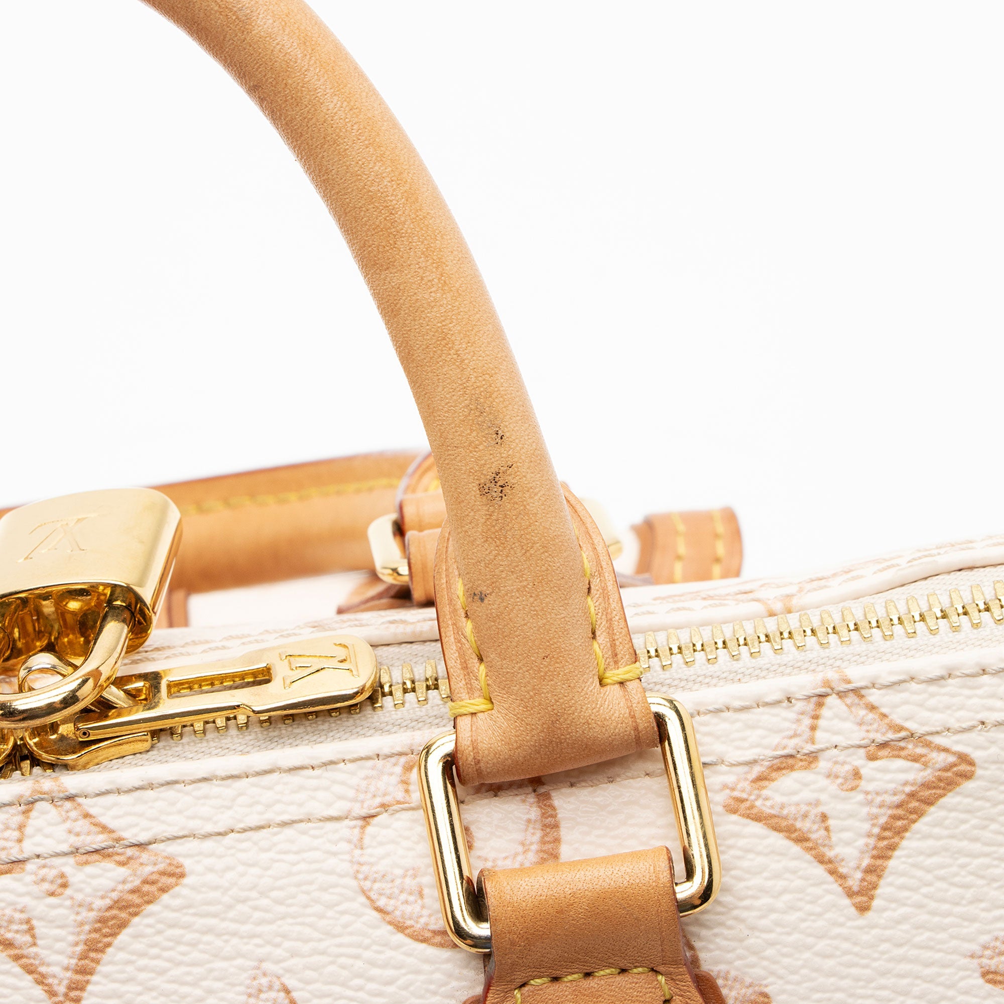 Louis Vuitton Limited Edition Monogram Canvas Fall For Speedy Bandouliere 25 Satchel