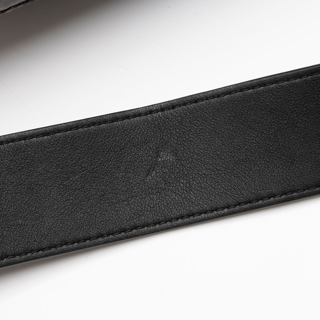Louis Vuitton Limited Edition Monogram Glaze PM Messenger