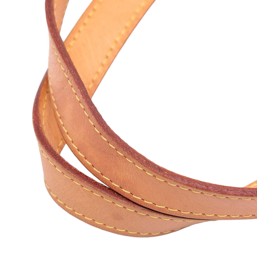 Louis Vuitton Monogram All In PM
