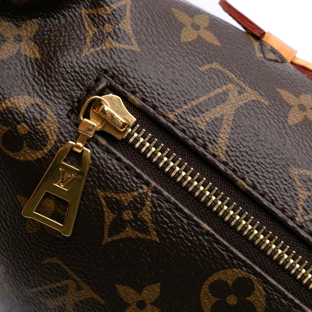 Louis Vuitton Monogram Bumbag