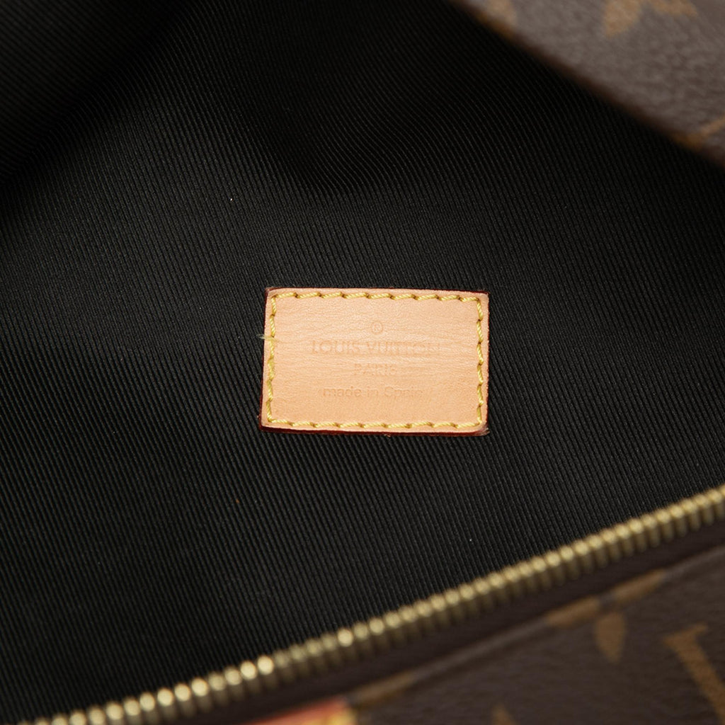 Louis Vuitton Monogram Bumbag