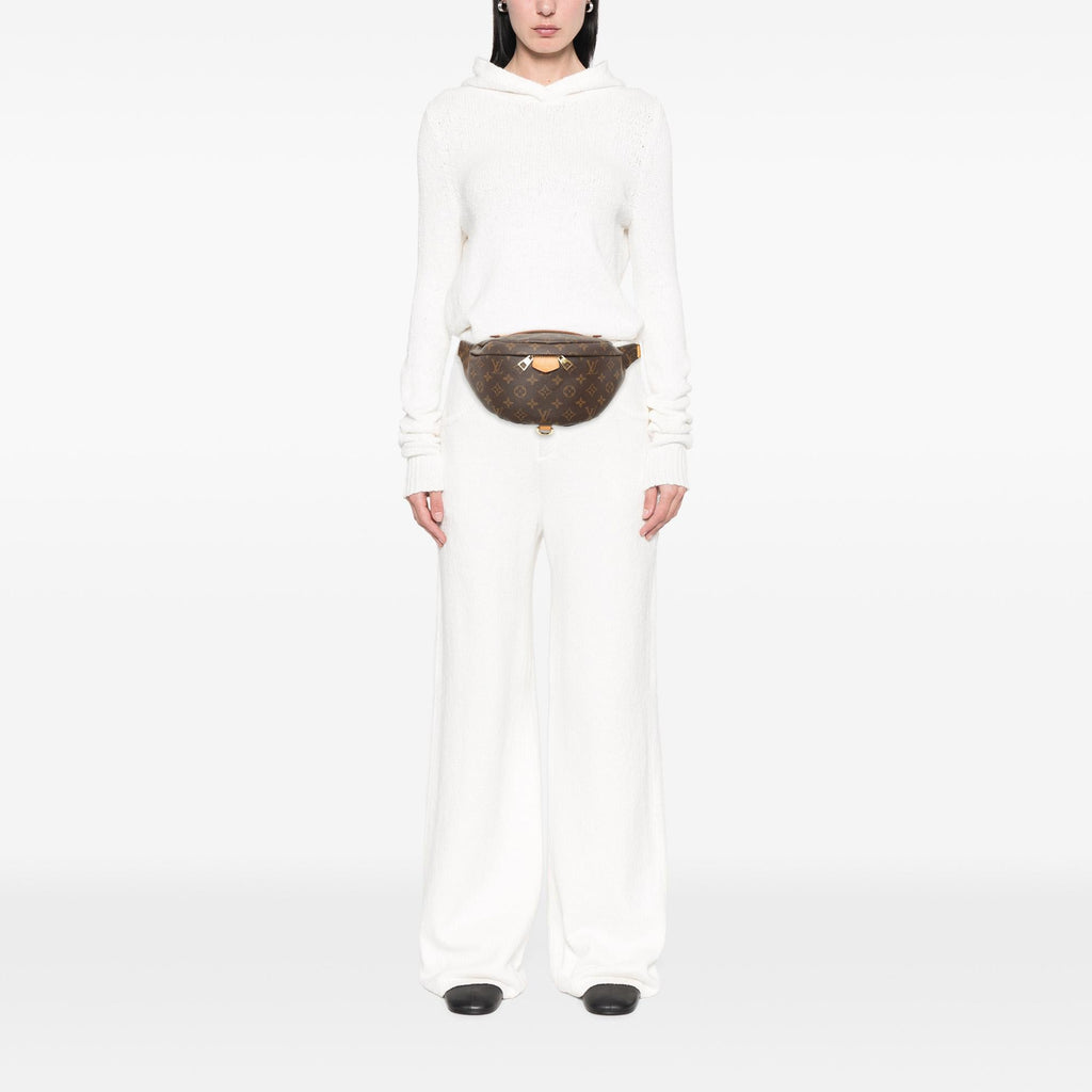 Louis Vuitton Monogram Bumbag