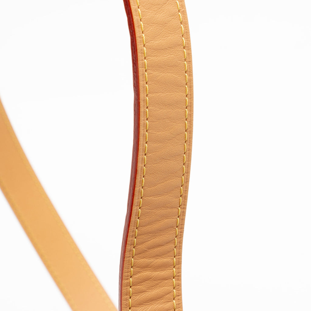 Louis Vuitton Monogram Canvas All In BB Bucket Bag